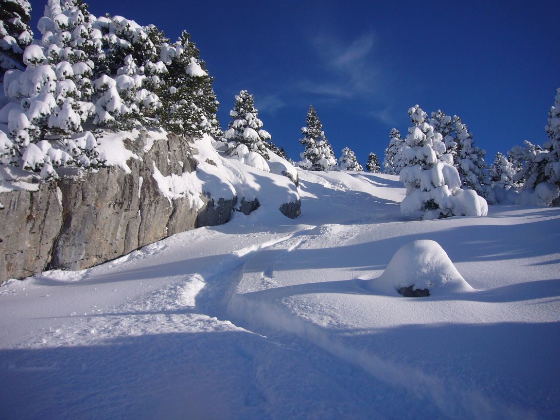 ski ludique