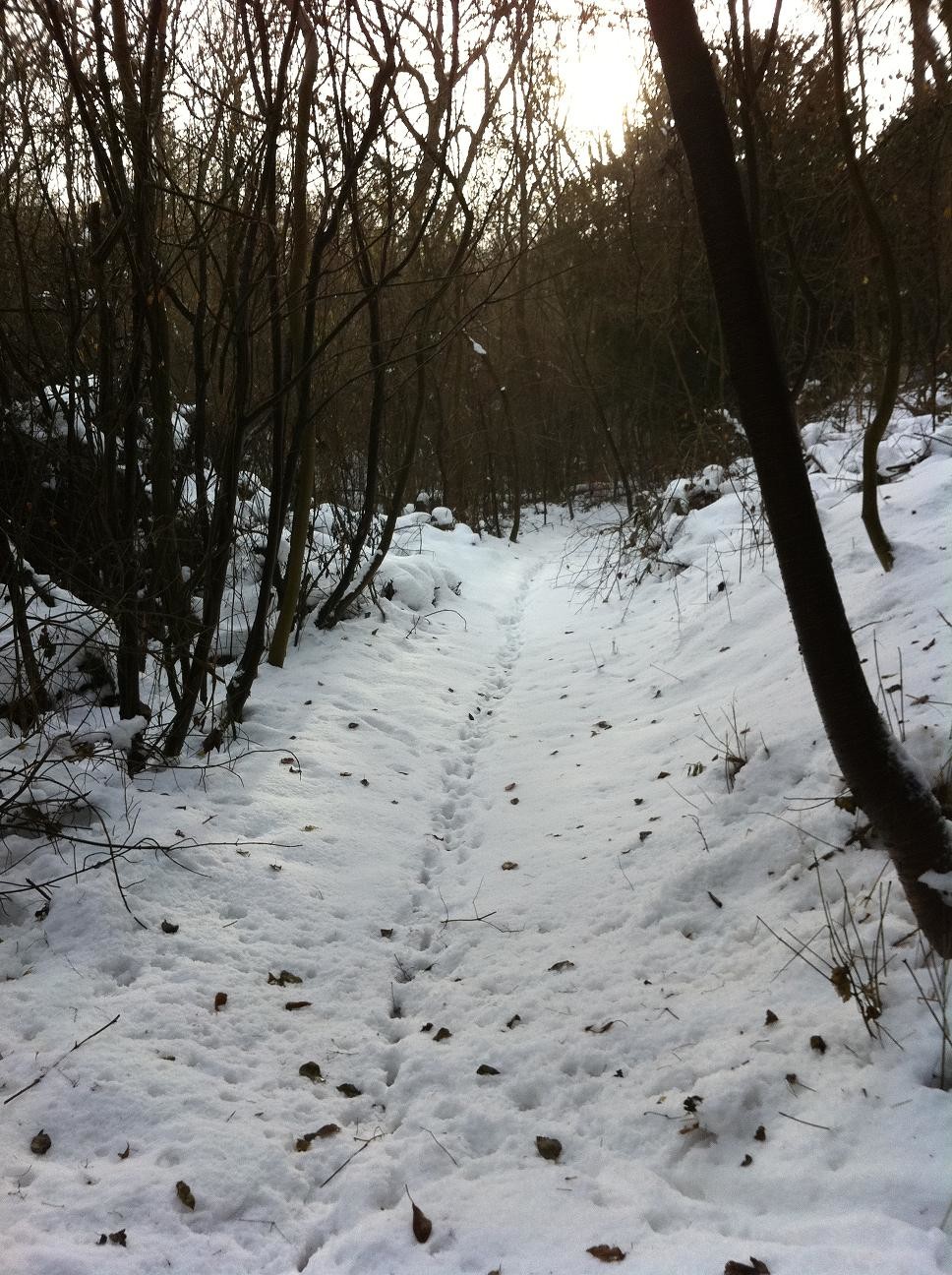 Skiing in the North Downs 1