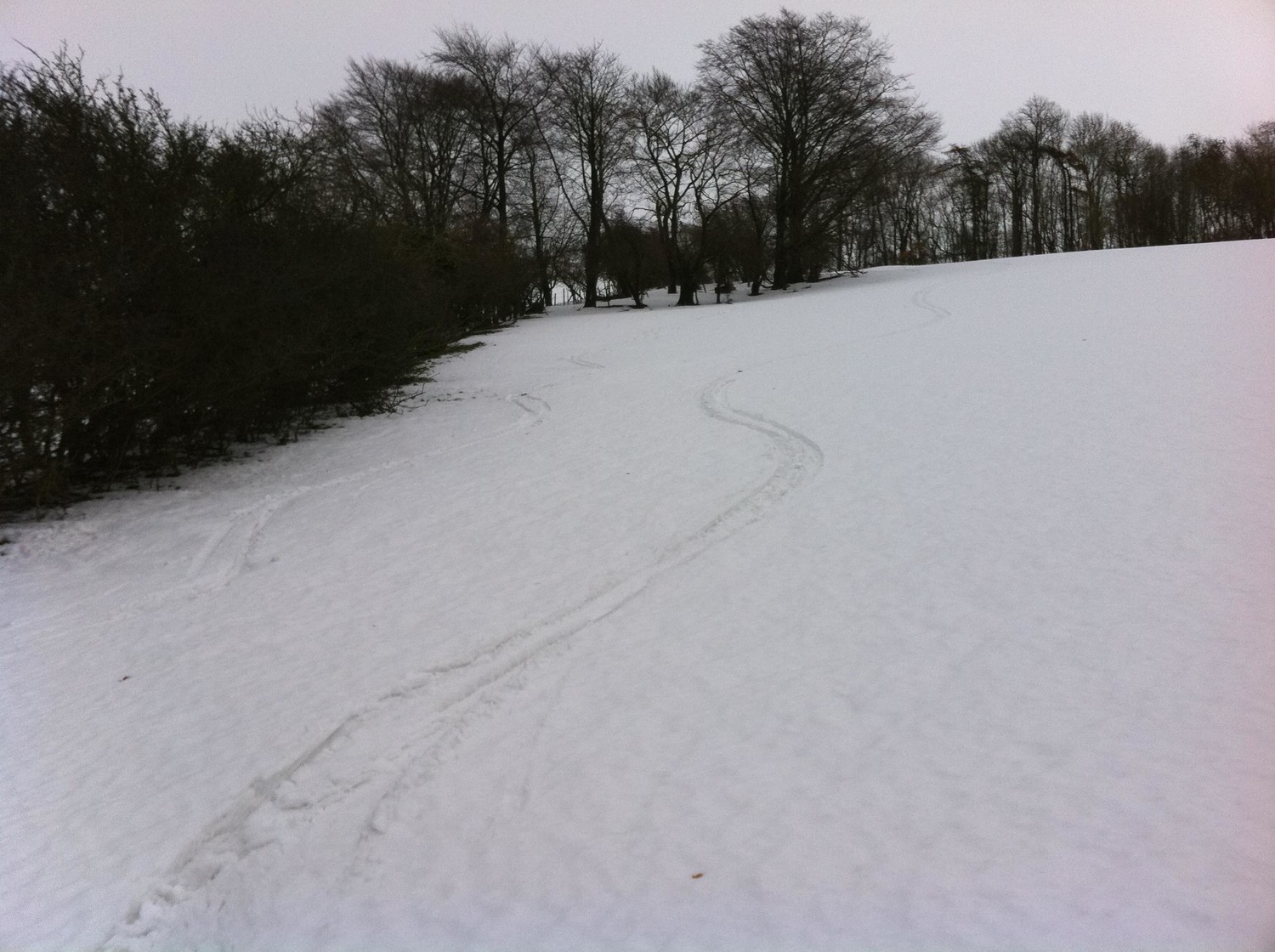 Skiing in the North Downs 3