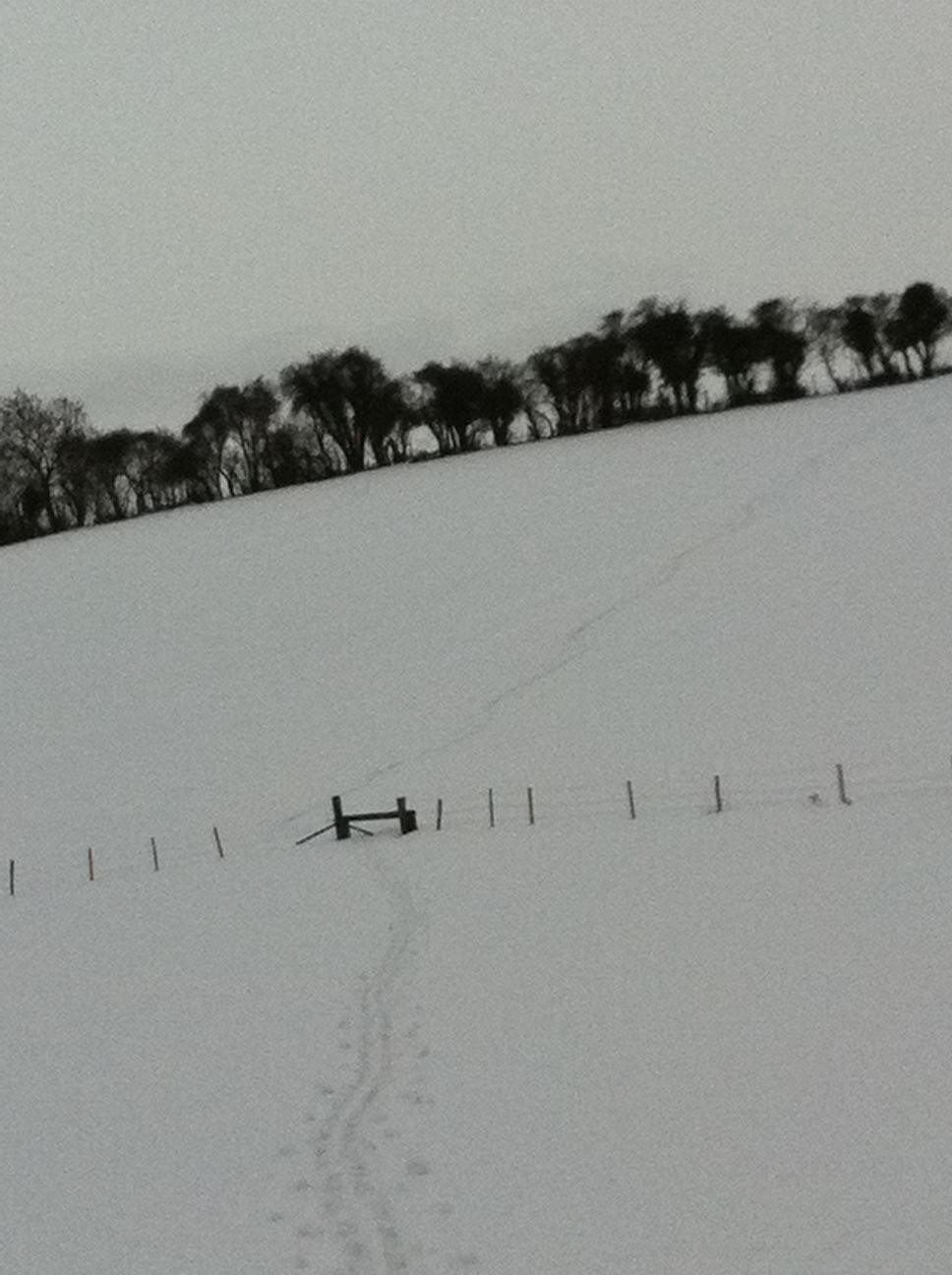 Skiing in the North Downs 4