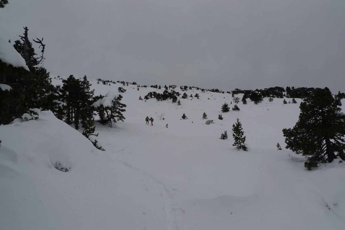 En vue du sommet
