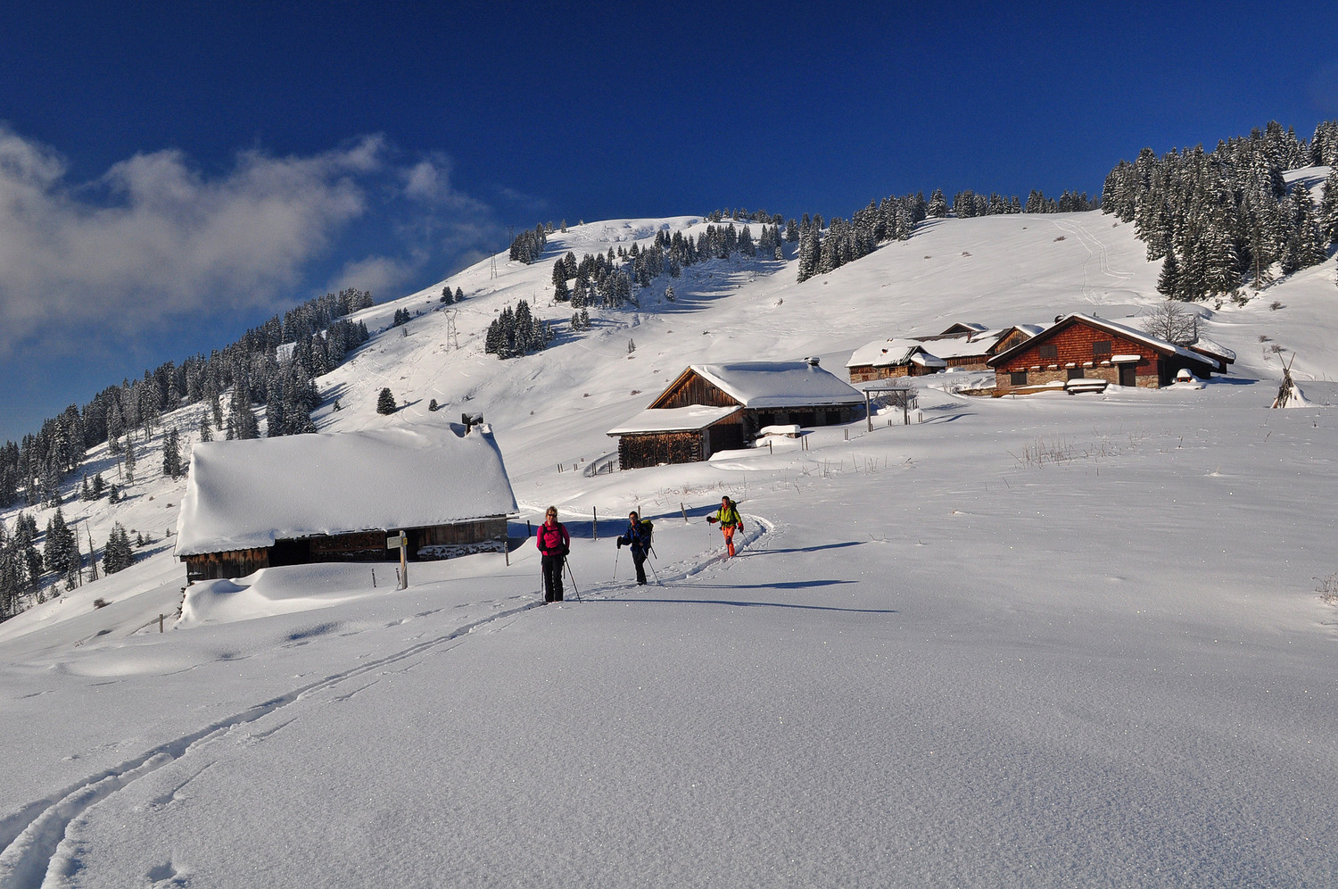 La troupe aux chalets d'Autigny