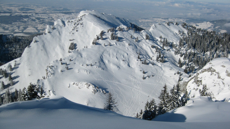 après le Grand, le Petit