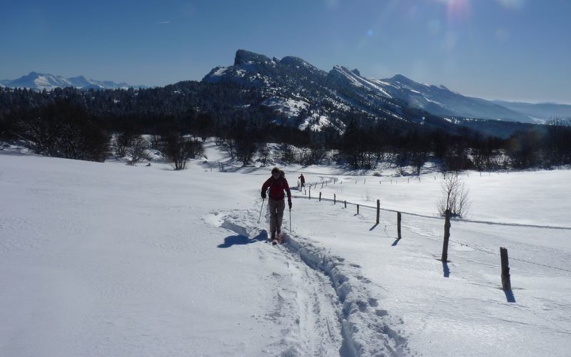 Montée au Moucherotte par le plateau des Rammées