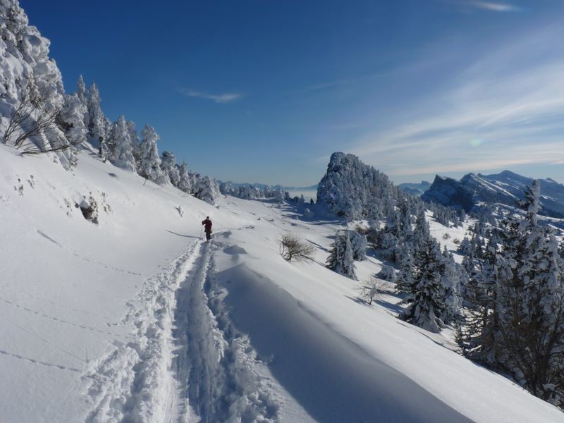 Dernières encablures avant le sommet du Moucheroote