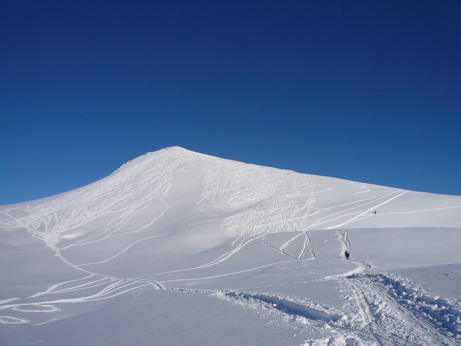 Charmant Som: on m'avait conseillé de faire de la piste ;-)