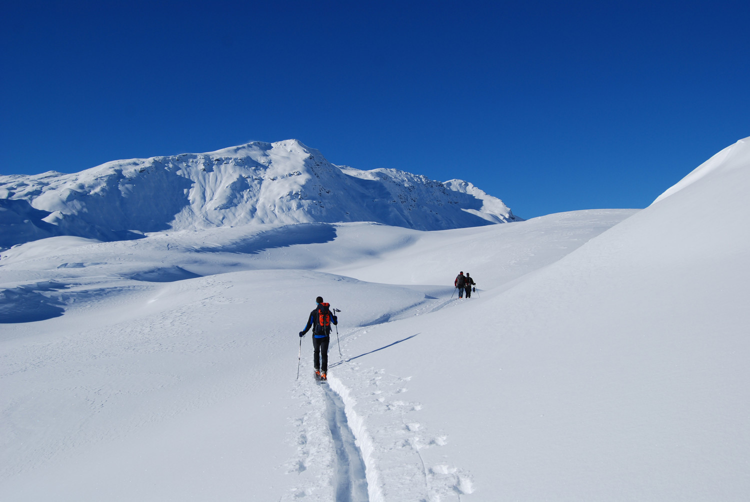 Salita lungo il Pian dei Cavalli con il Monte Bardan versante E.