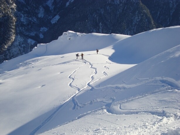 Cima di Piancabella, in discesa sui pendii ad E del tratto fina le di cresta