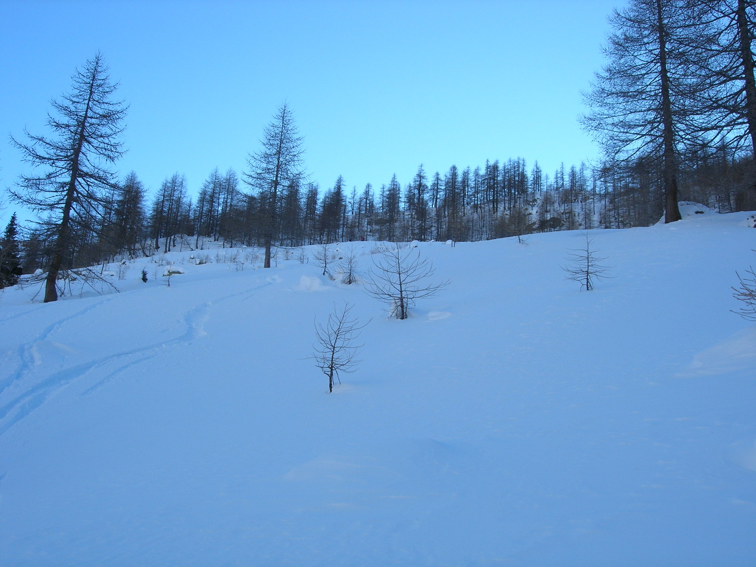 Nei pressi dell'alpe Waira
