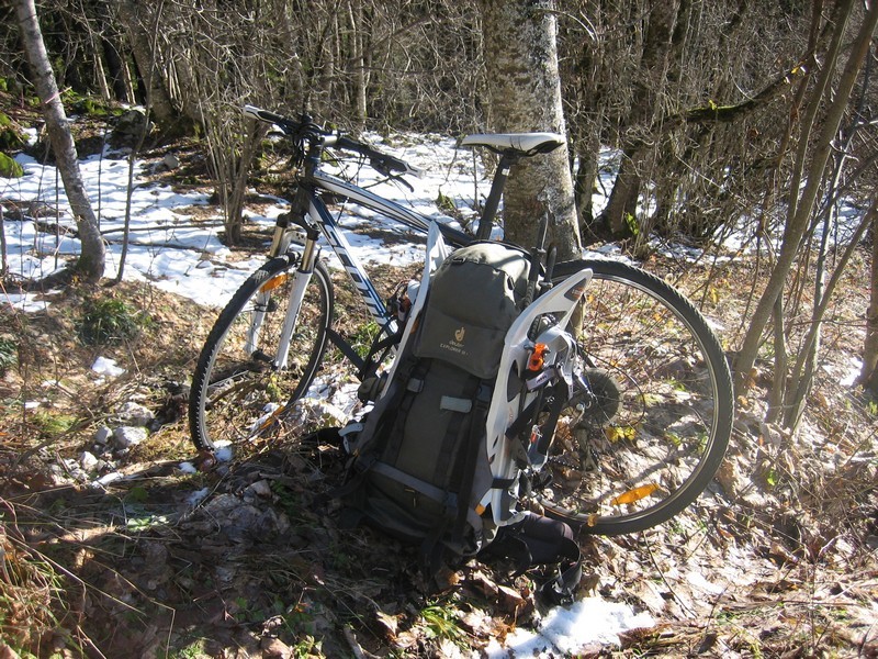 Y'a toujours un arbre pour rendre service