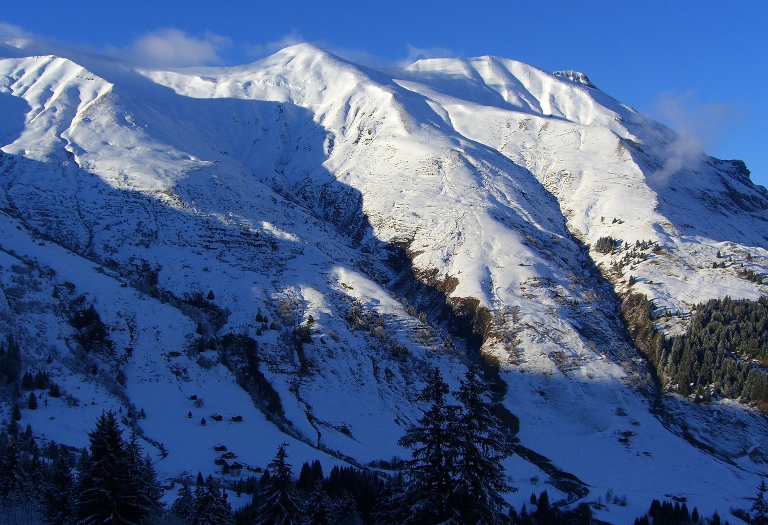 Tete de la combaz-pour ceux qui seraient tentés. Plumé on dirait?