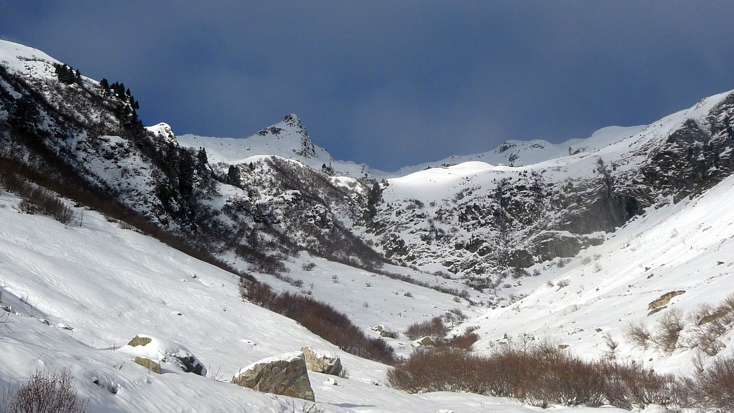 Pointe de marmottes noires au fond à gauche