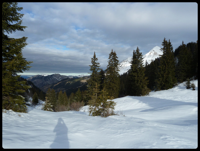 Joli coup d'oeil sur le Mont de Grange depuis le col de Bassachaux