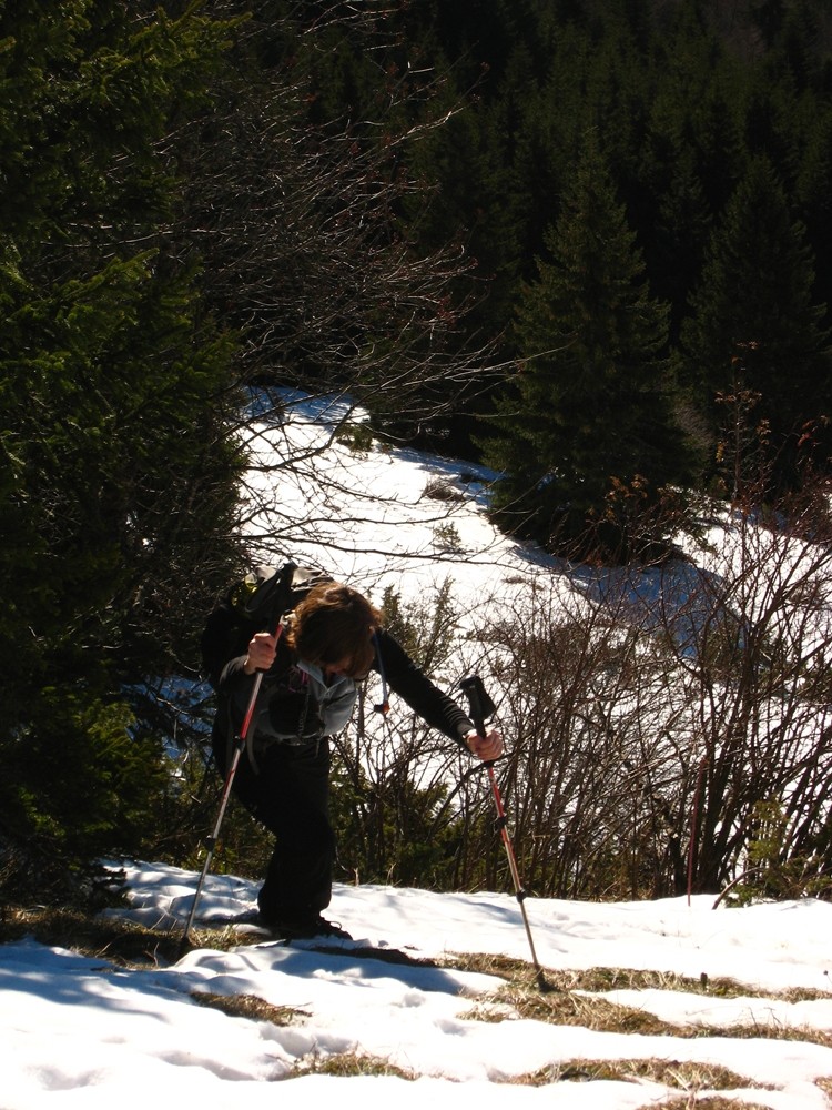 Alpinisme herbeux