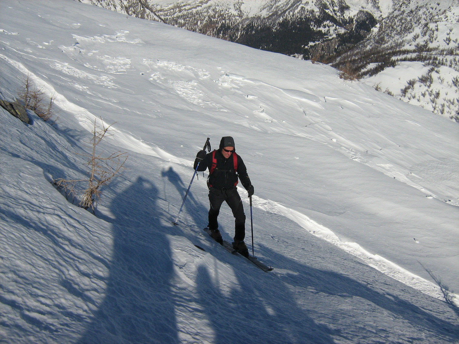 Arriva anche il Bronz