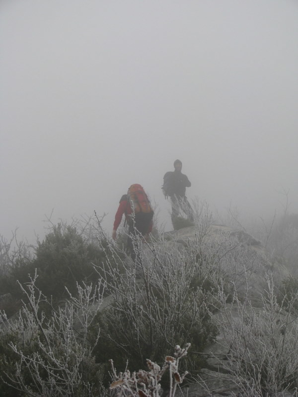 du brouillard