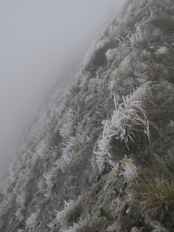 sur l'arête