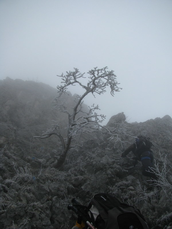 du givre