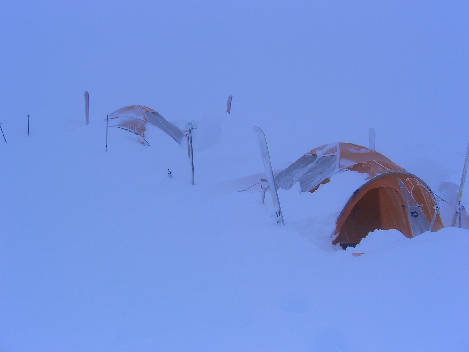 Denali-tombe la neige
