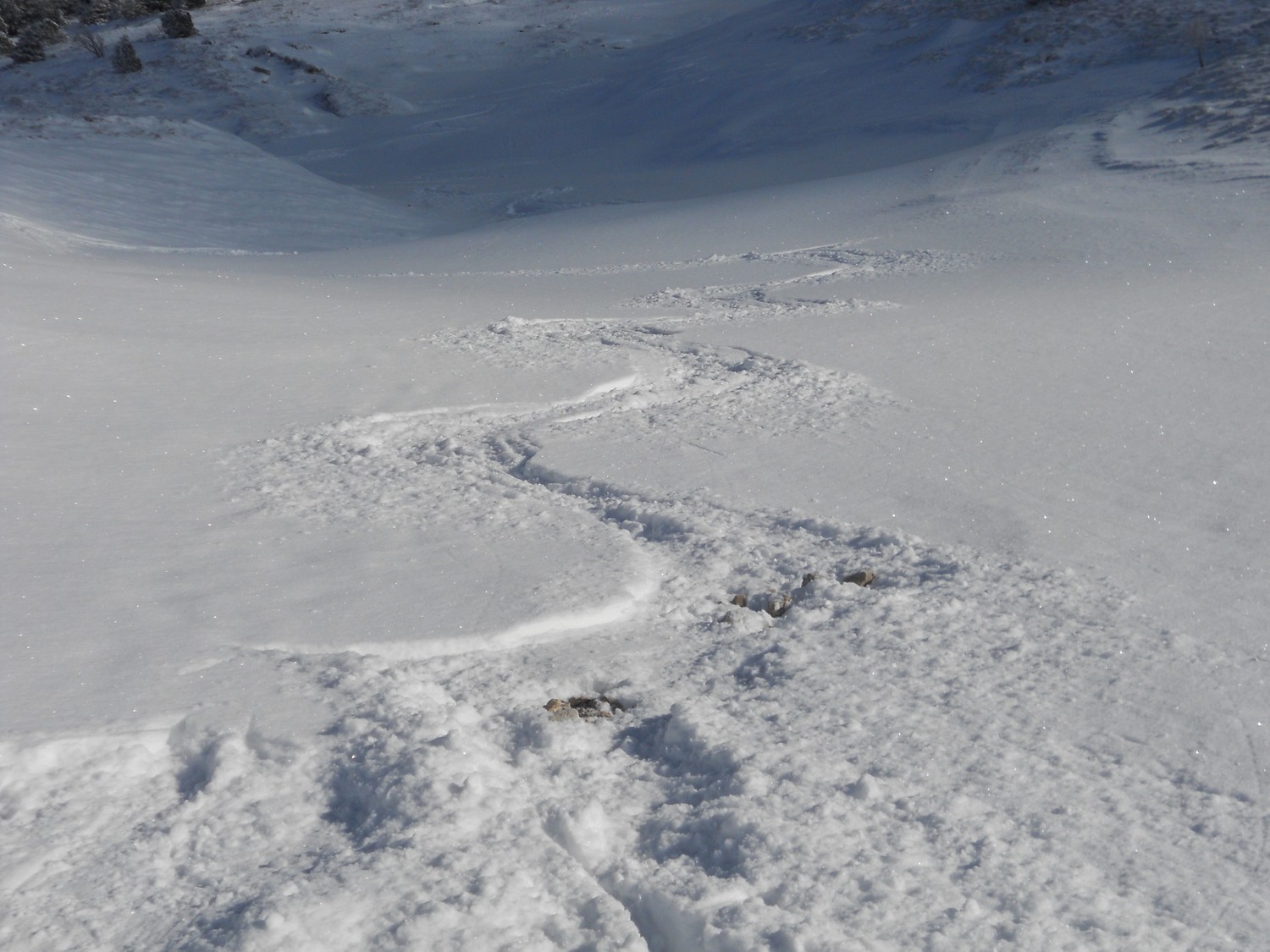 voyez les cailloux, mes skis s'en souviennent