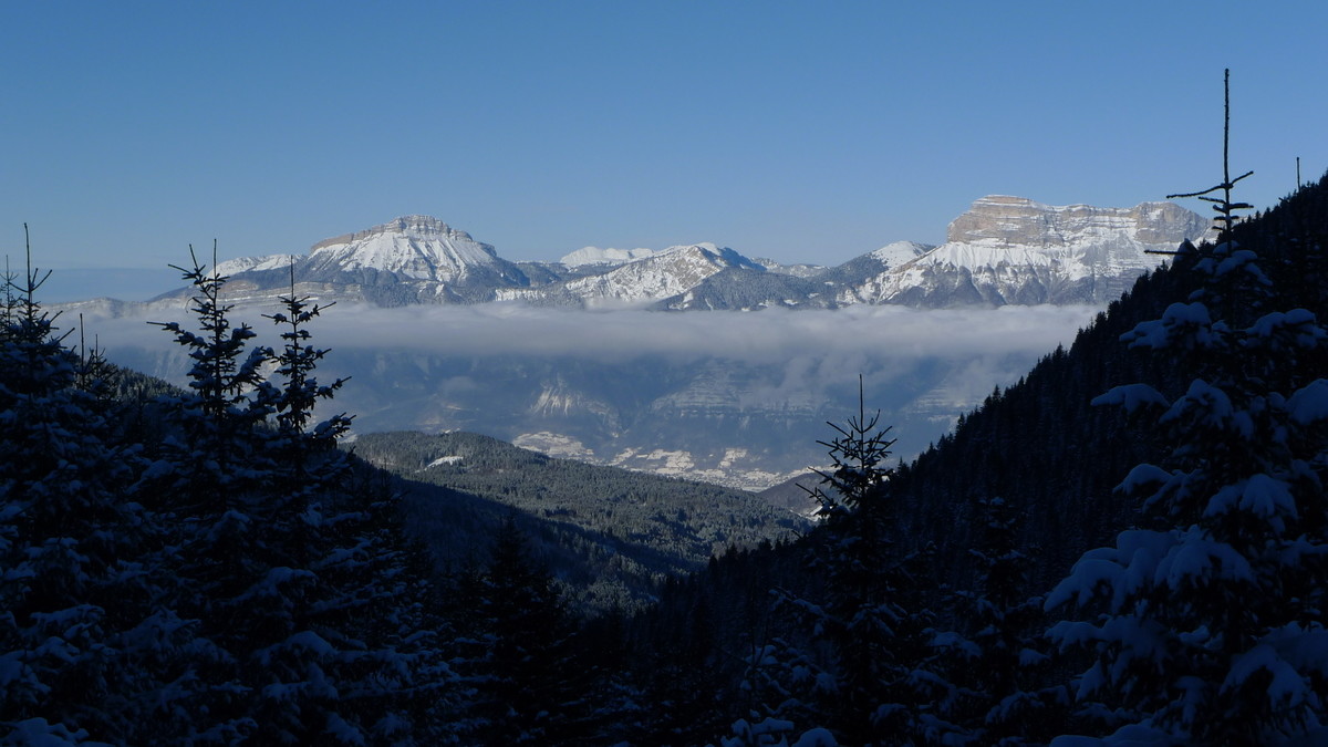 Chartreuse depuis le Muret