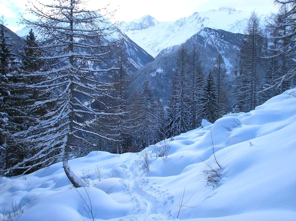 Trace face au massif du MB