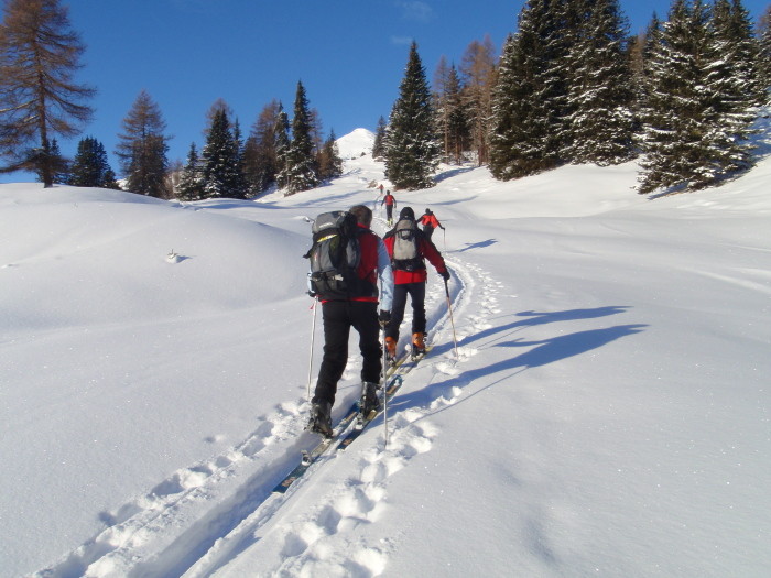 in prossimità usita dal bosco