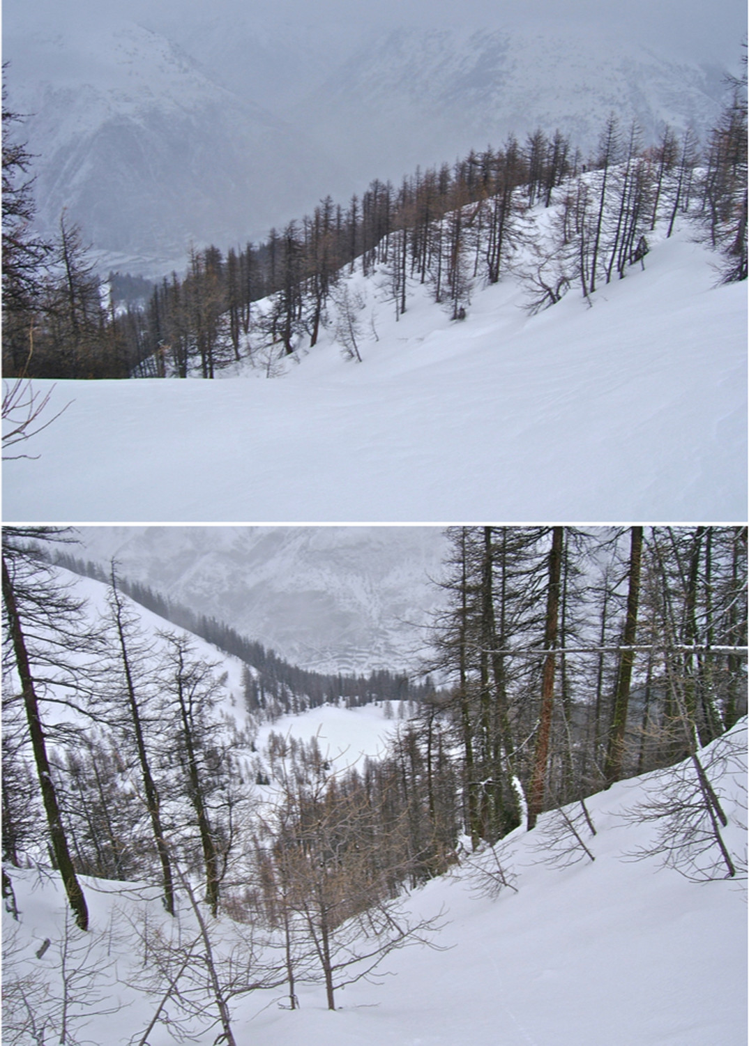 Vallon de descente.