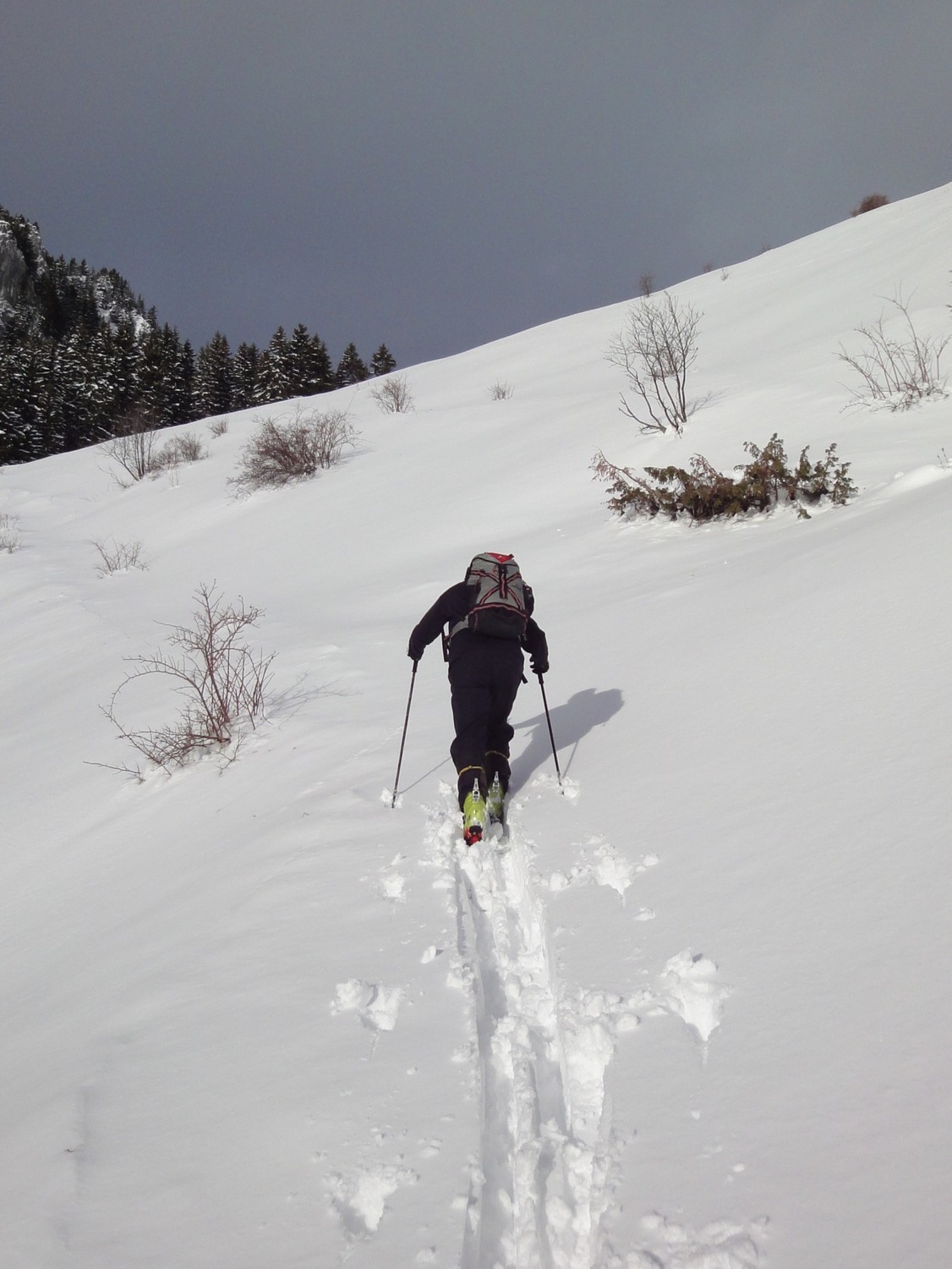 Au-dessus de la forêt, vers le chalet de la Cheneau