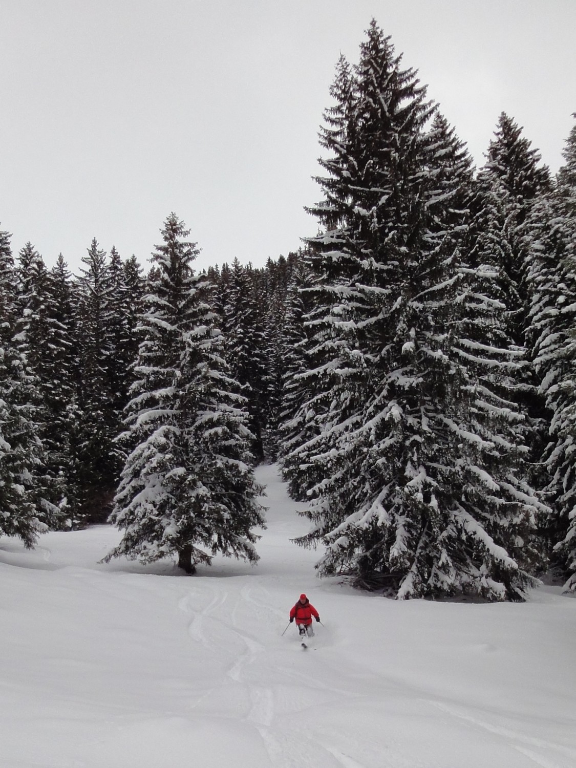Bonne poudreuse dans la forêt sous les chalets de Mens