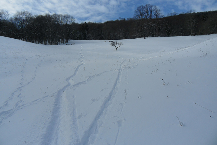 la trace vers 900m au dessus de Logras