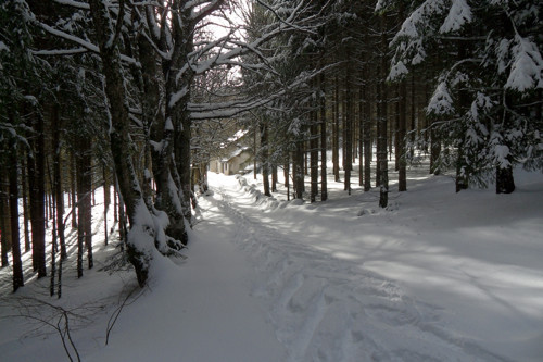 pré-Bouillet