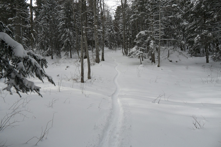 sous la Poutouille à 1350m