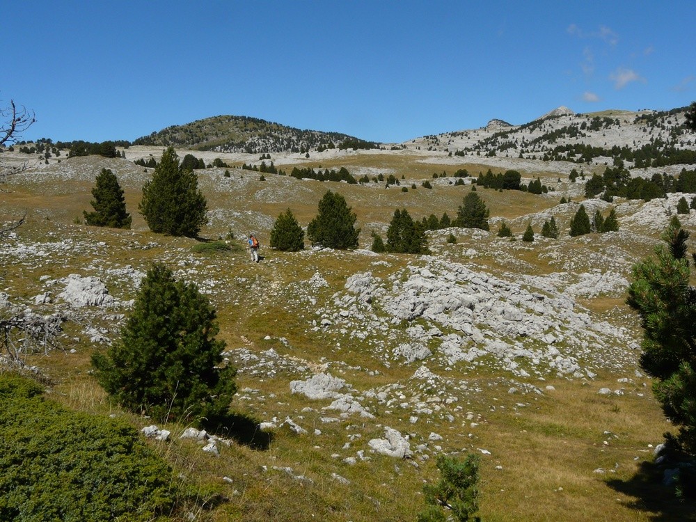 Sur les Hauts Plateaux