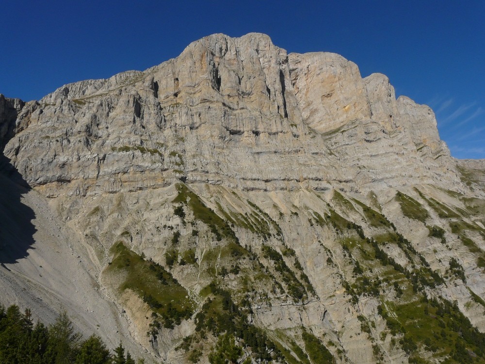 Versant E du Grand Veymont