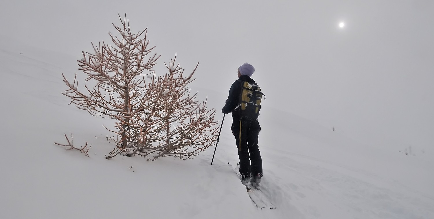Sortie de forêt et quasi du soleil !