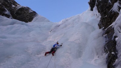 "Peupeu" dans la sortie directe