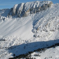 Gerbier