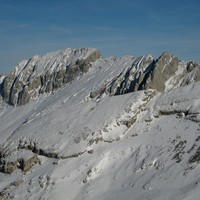 Gerbier