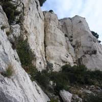 la fissure de sortie