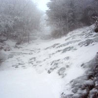 Ruiseling à gauche