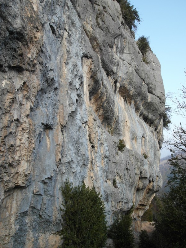 Tamée, secteur "de la route"