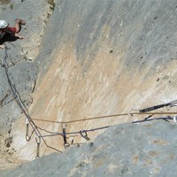 Les fils de l'haltère et du pan - L4.