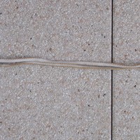 Dégaine longue