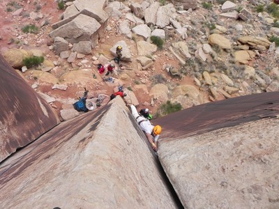 Blue Gramma - unnamed 5.10-