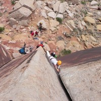 Blue Gramma - unnamed 5.10-