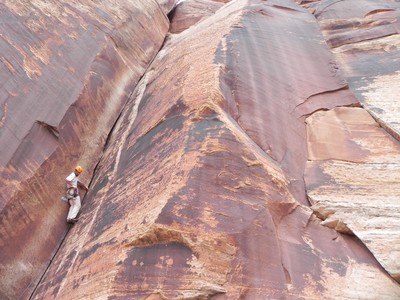 Blue Gramma - unnamed 5.10+