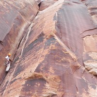 Blue Gramma - unnamed 5.10+