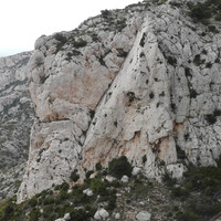 Dalle du Perdreau E
