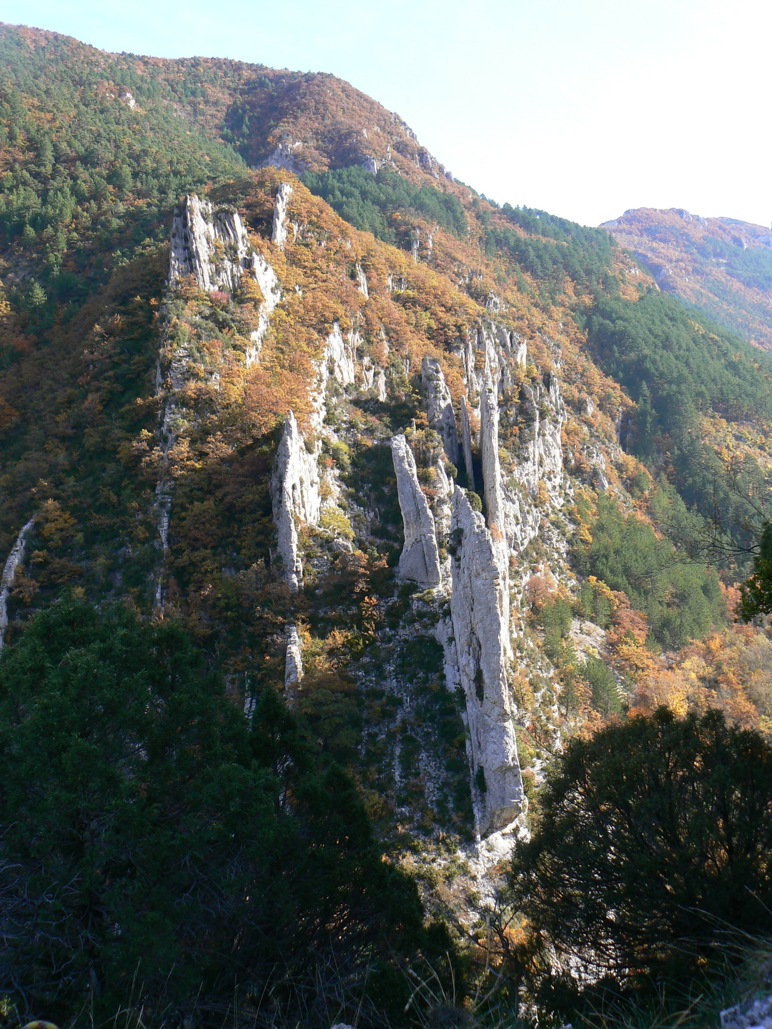 St Moirans, les aiguilles rive D